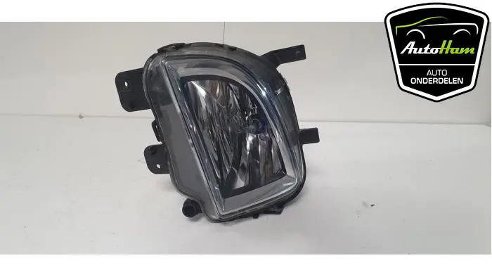 Mistlamp rechts-voor Volkswagen Golf