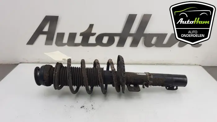 Schokdemper links-voor Skoda Fabia