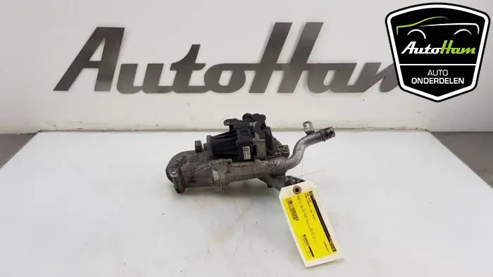 EGR Klep Ford Fiesta