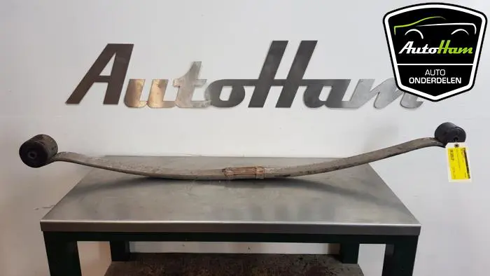 Bladveer achter Ford Transit