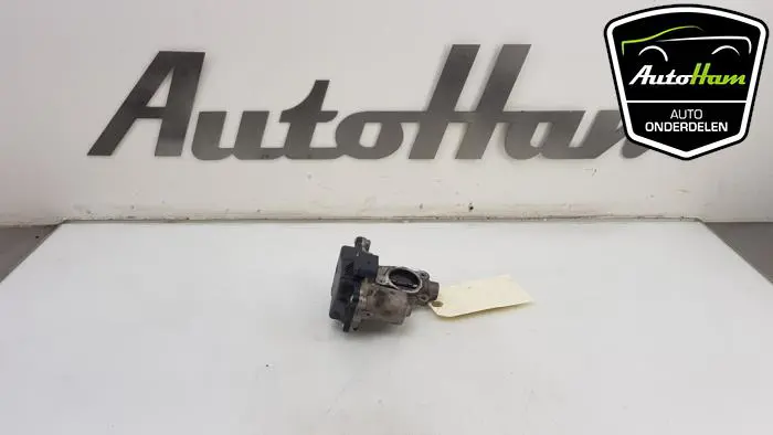 EGR Klep Skoda Fabia