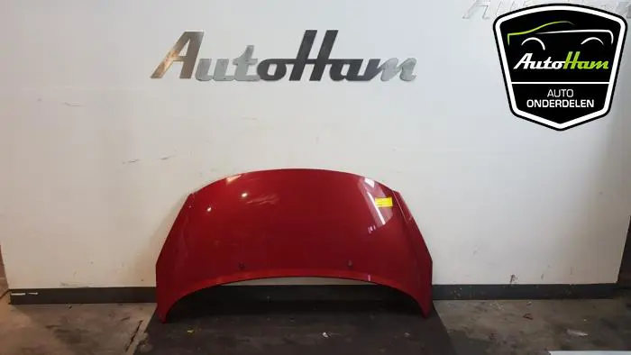 Motorkap Peugeot 207