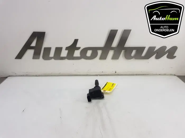 Pen Bobine Volkswagen Golf