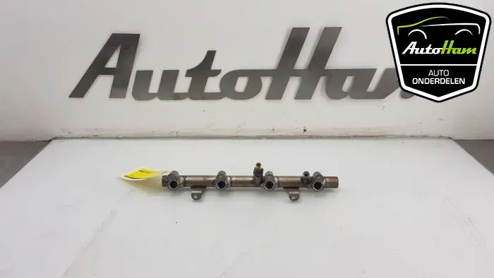 Galerij (Injectie) Audi Q7