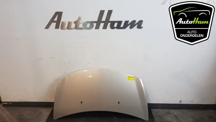 Motorkap Renault Clio