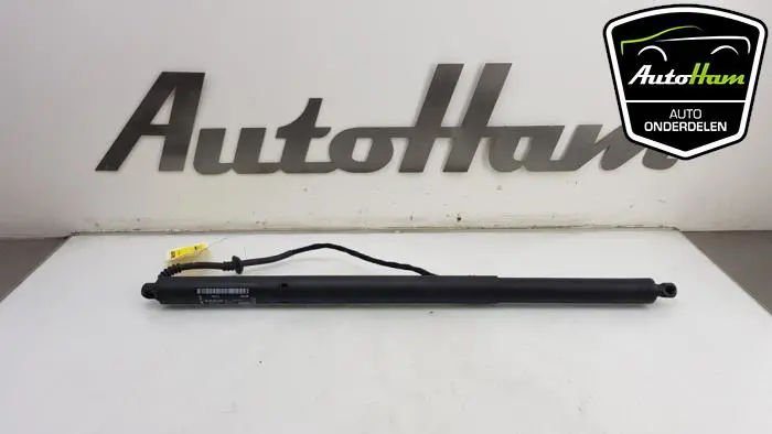Achterklep motor Ford Focus