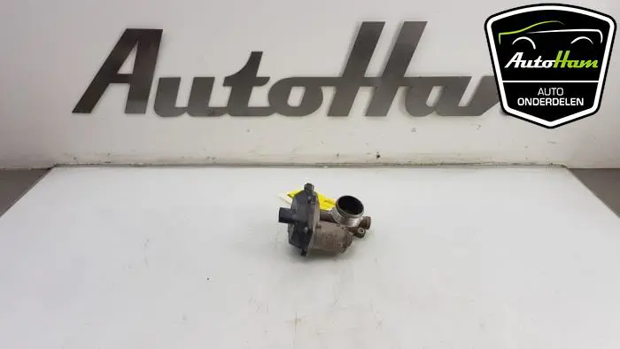 EGR Klep Volkswagen Tiguan