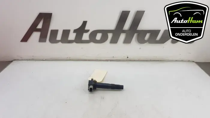 Pen Bobine Suzuki Alto