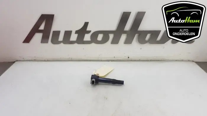 Pen Bobine Suzuki Alto