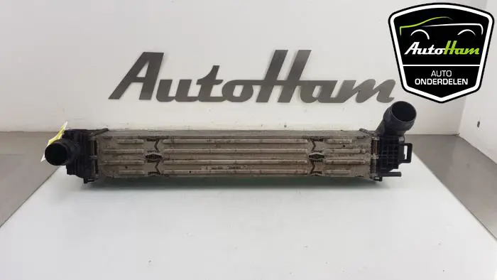 Intercooler Renault Megane