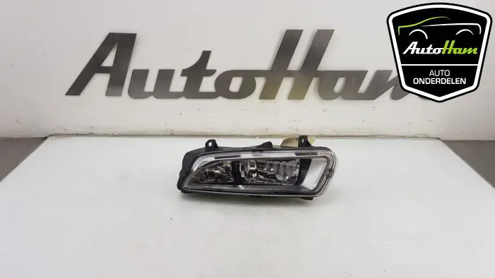 Mistlamp links-voor Volkswagen Polo