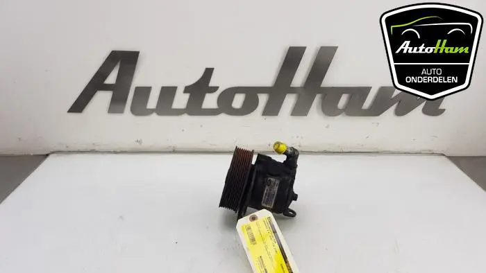 Stuurbekrachtiging Pomp Landrover Range Rover Sport