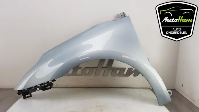 Scherm links-voor Citroen C4
