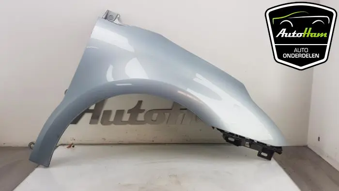 Scherm rechts-voor Citroen C4