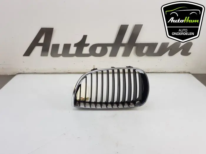 Grille BMW 1-Serie