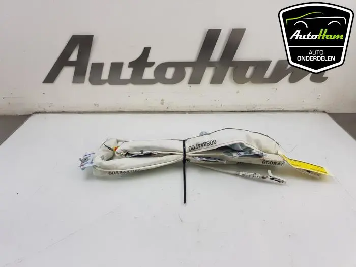 Airbag hemel rechts Skoda Fabia