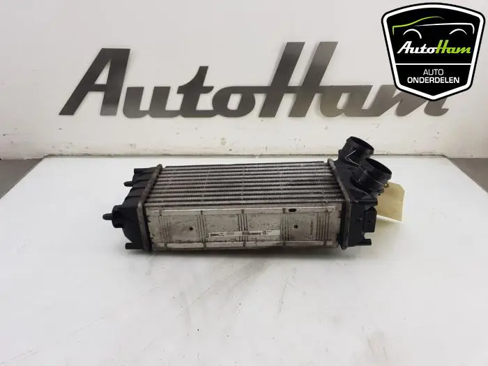 Intercooler Peugeot Partner
