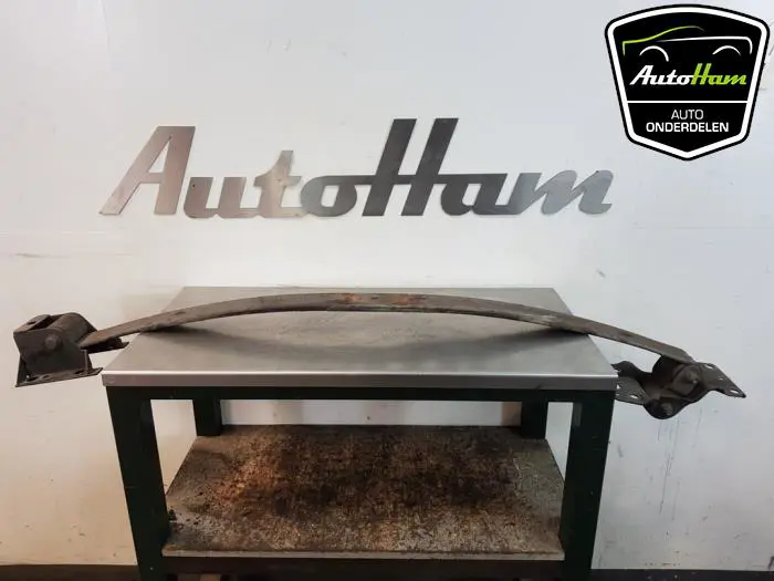 Bladveer achter Renault Master