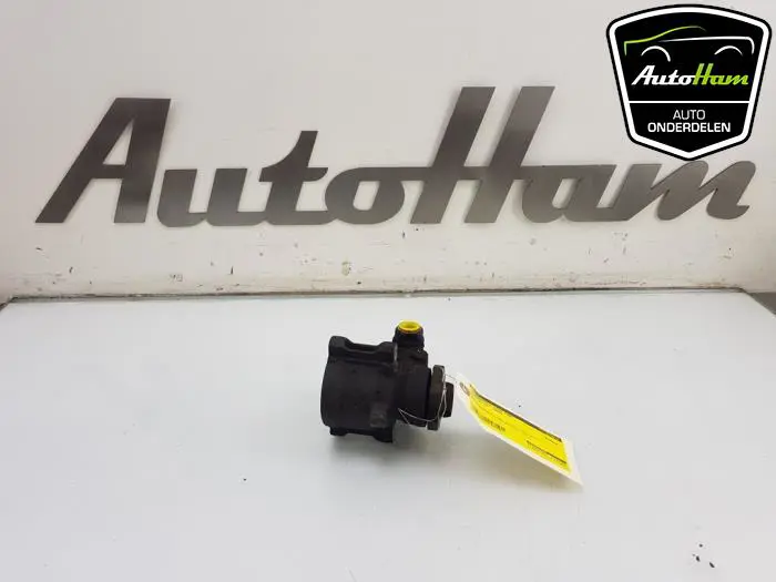 Stuurbekrachtiging Pomp Volkswagen Golf