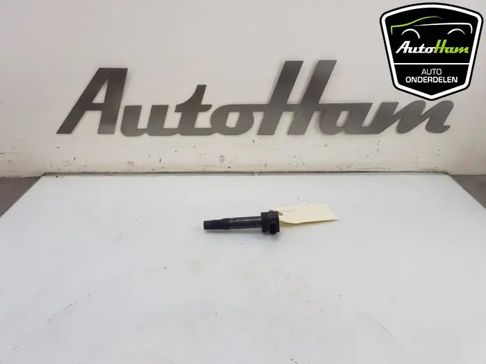 Pen Bobine Suzuki SX-4