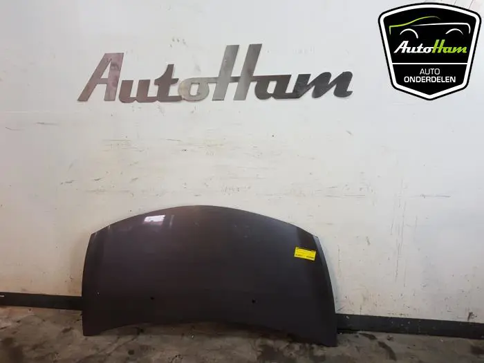 Motorkap Renault Clio