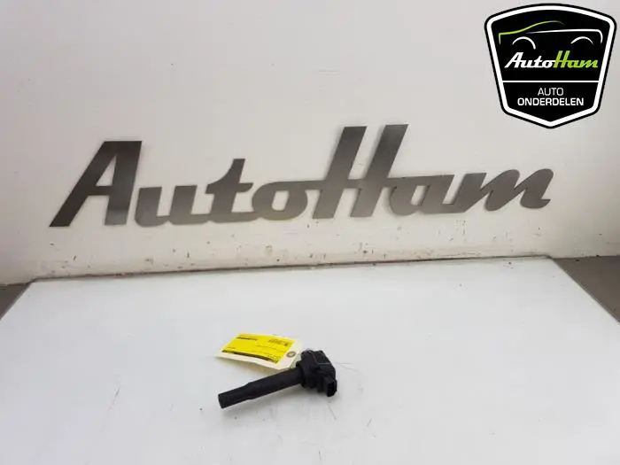 Pen Bobine Suzuki Celerio