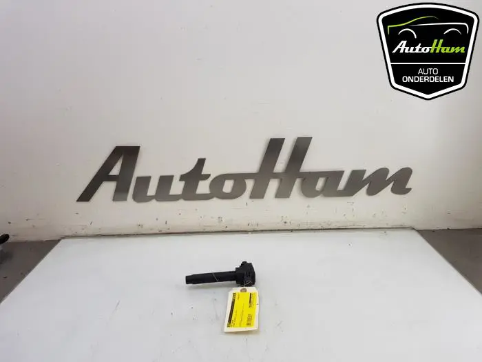 Pen Bobine Suzuki Celerio