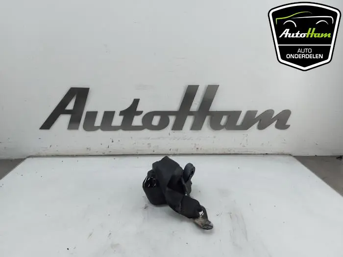 Veiligheidsgordel links-achter Skoda Fabia