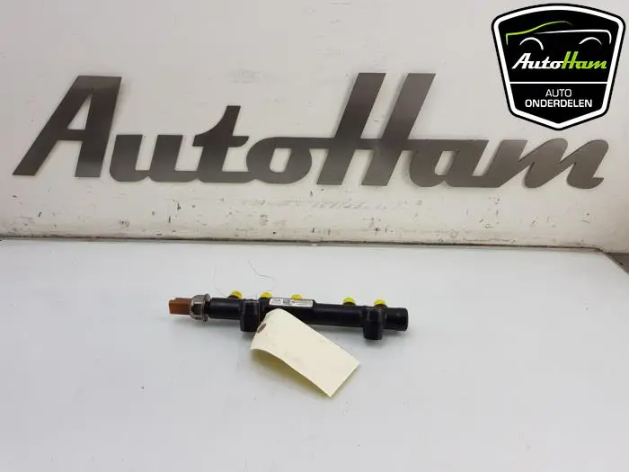 Galerij (Injectie) Ford Transit Connect