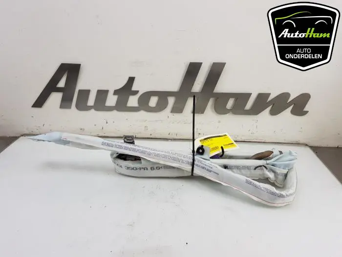 Airbag hemel rechts Audi A3
