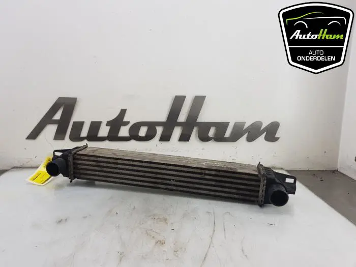 Intercooler Fiat Fiorino