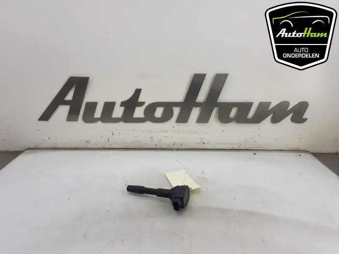 Pen Bobine Renault Clio