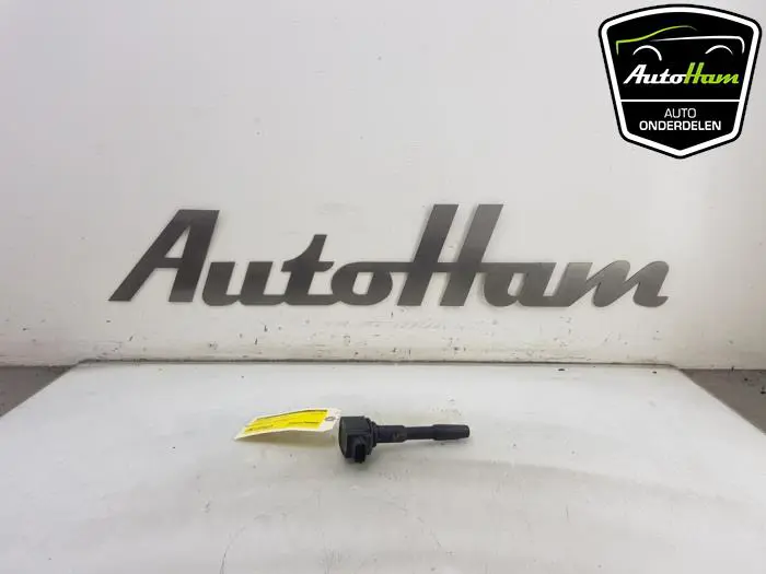 Pen Bobine Renault Clio