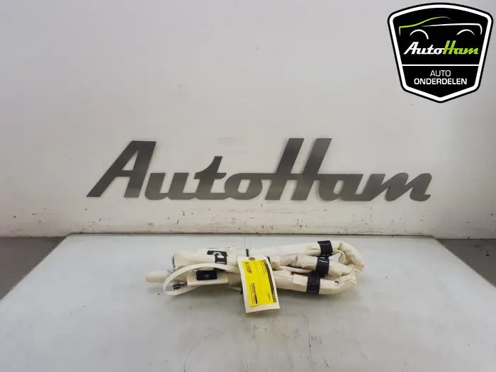 Airbag hemel rechts Ford Focus