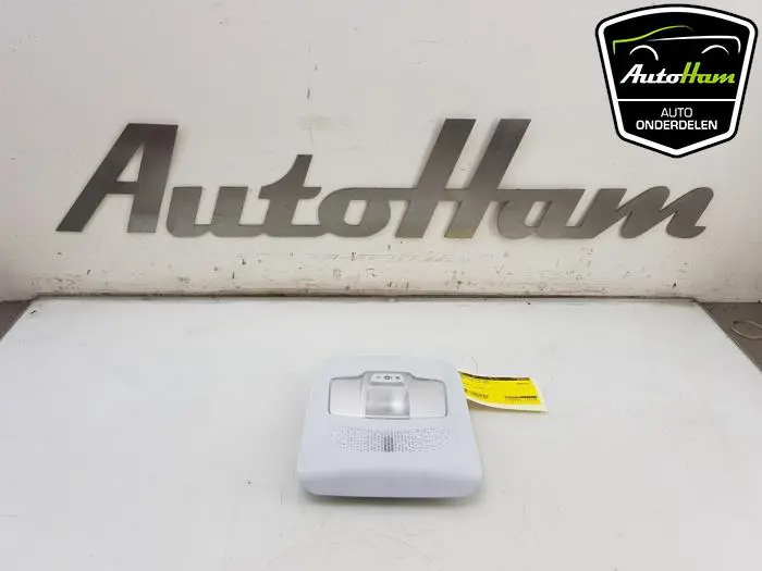Binnenverlichting voor Peugeot 2008