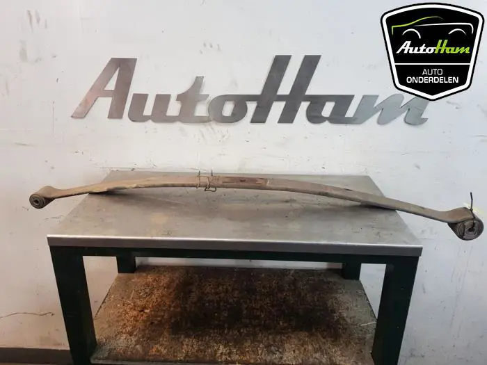 Bladveer achter Fiat Ducato