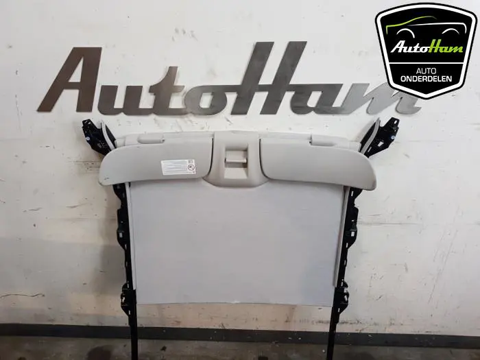 Hemelbekleding Citroen C3
