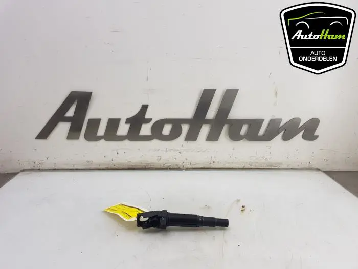 Pen Bobine Peugeot 3008