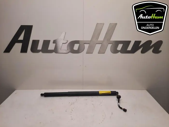 Achterklep motor Skoda Octavia