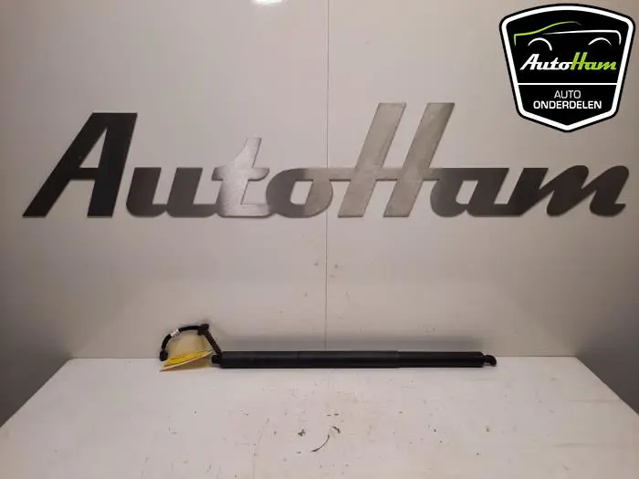 Achterklep motor Skoda Octavia