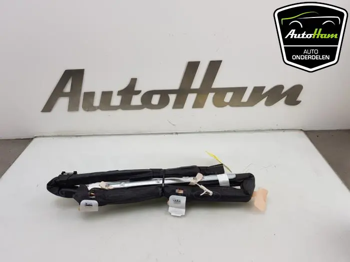 Airbag hemel rechts Ford Fiesta