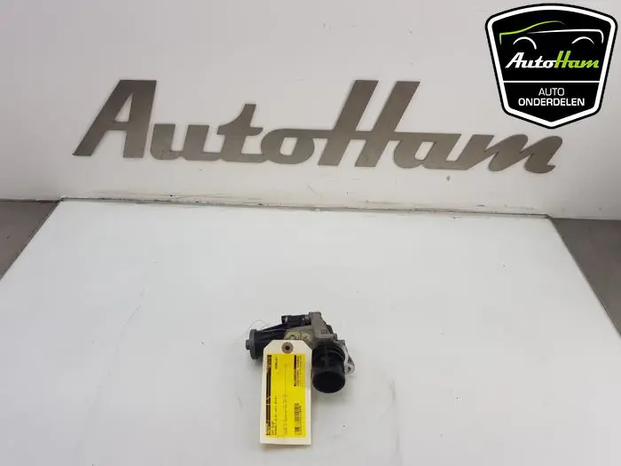 EGR Klep Renault Clio