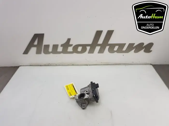 EGR Klep Renault Clio