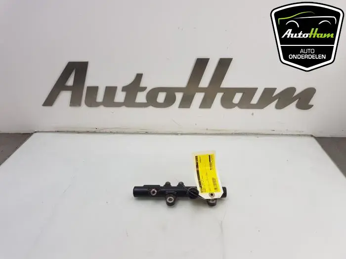 Galerij (Injectie) Renault Clio