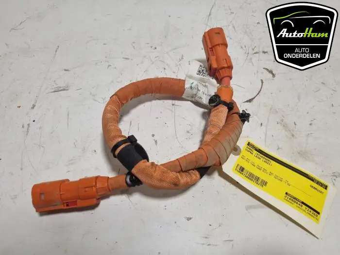 Kabel (diversen) Cupra Leon