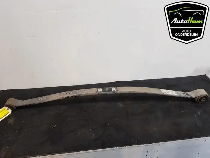 Bladveer achter Ford Transit Custom