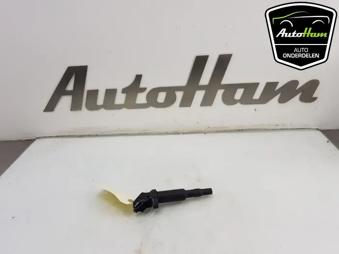 Pen Bobine Citroen C3