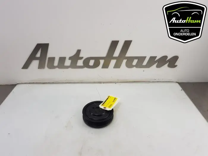 Krukas Poelie Volkswagen Passat