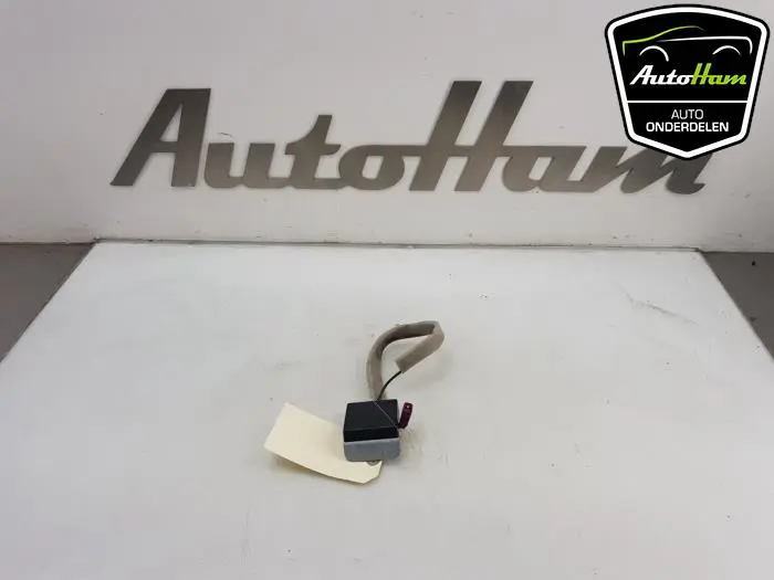 Antenne Versterker Renault Clio