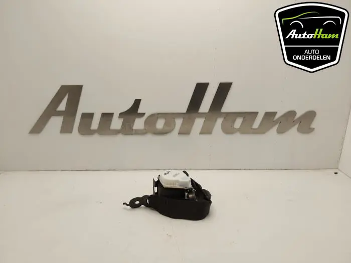 Veiligheidsgordel midden-achter BMW 5-Serie
